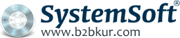 SystemSoft B2B Kur